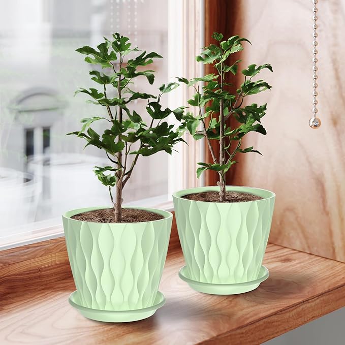 6 Pack 6 Inch Indoor Plant Pots with Drainage Holes, Outdoor Plastic Decorative Flower Pots, Garden Planters with Tray Saucers for Orchids, Violets, Succulents, Herbs, and Other Plants