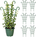Plant Support Stakes,Stackable Plant Trellis for Indoor Climbing Plants,Small Plant Climbing Trellis for Potted Plants Plastic Climbing,Potted Plant Trellis for Houseplants (6PCS)