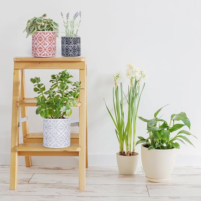 Plant Pots, Set of Indoor Plant pots, Plastic Planter with Drainage and Saucer, Modern Distinctive Self Watering Plant Pot, Spray Spots (Indoor Plant Pots)