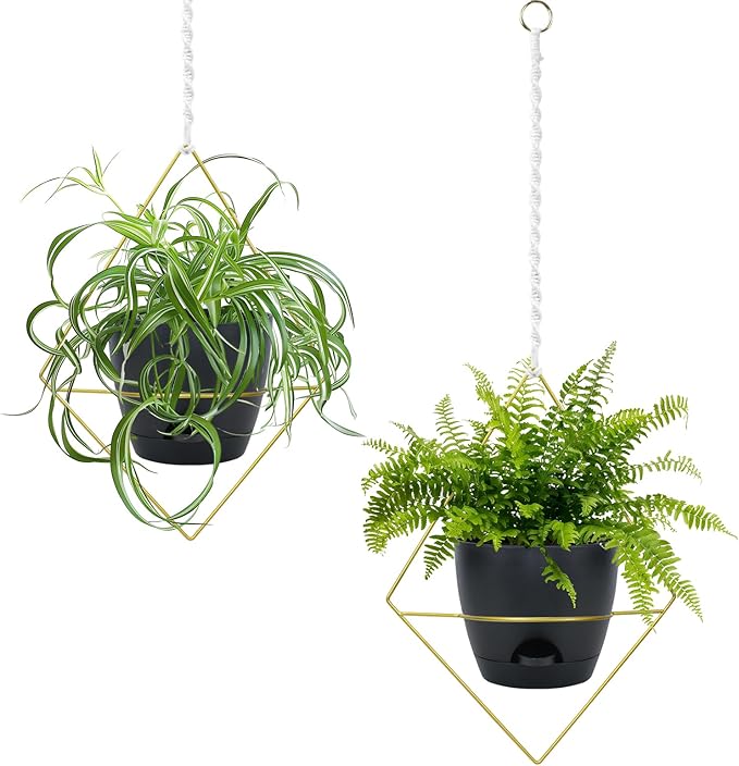 Hanging Planters for Indoor Plants, 2 Set Self Watering Hanging Flower Pots, Modern Hanging Plant Baskets with Metal Plant Holder & 6.5 Inch Plastic Pots for Garden Home Decor (Gold Frame Black Pot)