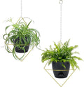 Hanging Planters for Indoor Plants, 2 Set Self Watering Hanging Flower Pots, Modern Hanging Plant Baskets with Metal Plant Holder & 6.5 Inch Plastic Pots for Garden Home Decor (Gold Frame Black Pot)