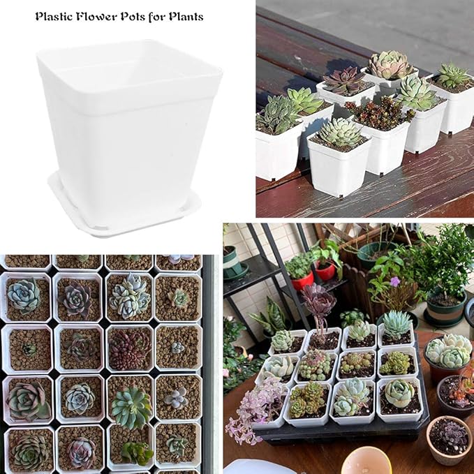 24 Pack 3 Inch White Square Plastic Plant Pots with Saucers,Nursery Seedling Pots with Drainage Hole,Small Planter Containers for Succulents,Flowers,Indoor Outdoor Garden,Home Office Balcony Decor