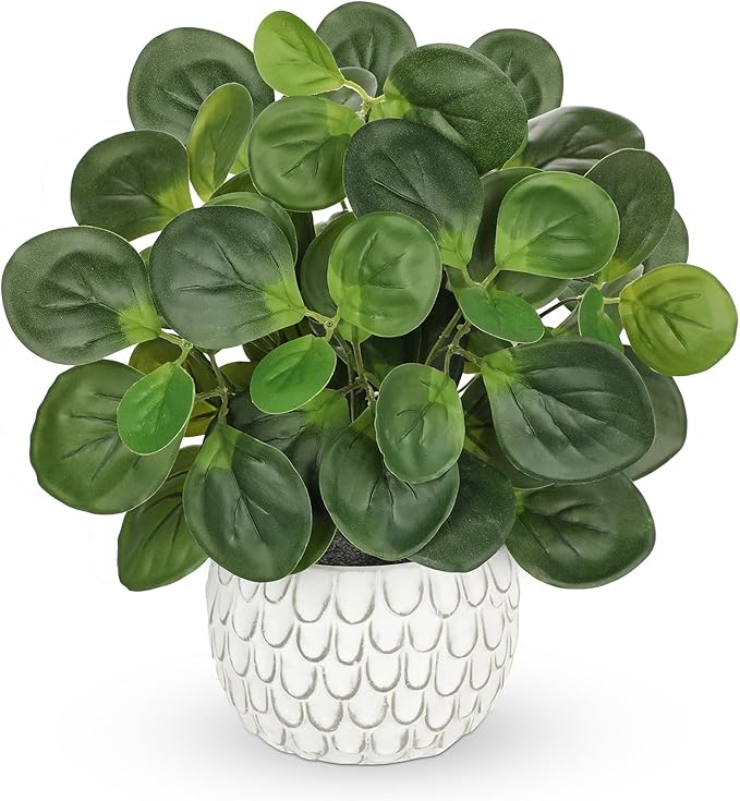 13" Artificial Plants Indoor Small Fake Plant in White Ceramic Pot, Silk Plants for Home Decor Indoor, Faux Potted Plant for Shelves, Desks, Home, Room, Office, Bedroom, Entryway, Tabletop Decor