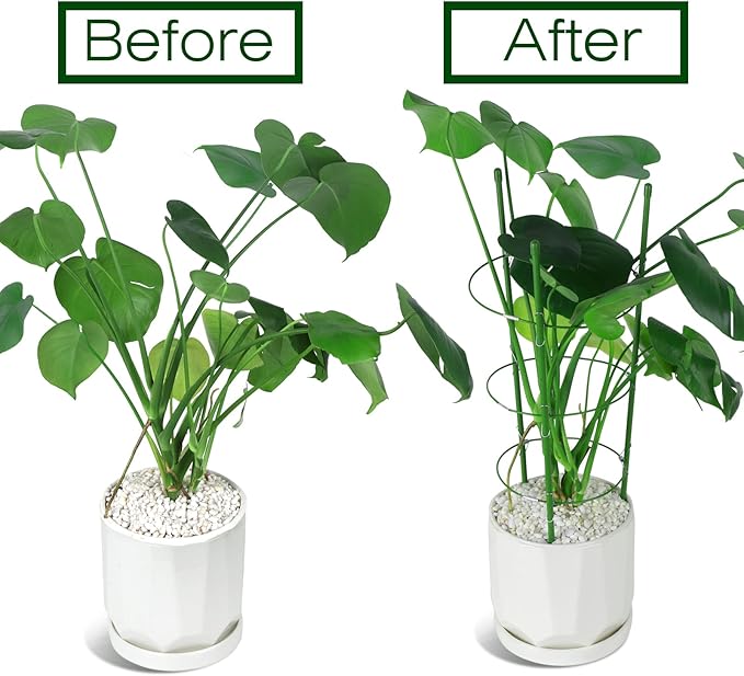 LEOBRO Tomato Cage, 2 PCS Small Plant Support Cage Rust Resistant Garden Ring Stake Plant Support for Tomato, Trellis, Climbing Plant, Flower, Plant Cages for Small Plants,17.7" H