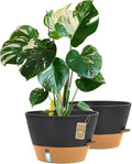 12-Inch Self Watering Planters with Drainage Holes, Large Flower Pots for Indoor Outdoor Plants, Garden Pots Grey 2 Pack