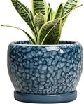 SQOWL Ceramic Pots for Plants - 6 Inch Plant Pot Indoor Outdoor, Ceramic Planter with Drainage Hole and Saucer, Decorative Round Planter, Small Flower Pot, Table Decor, Gifts for Plant Lovers, Blue