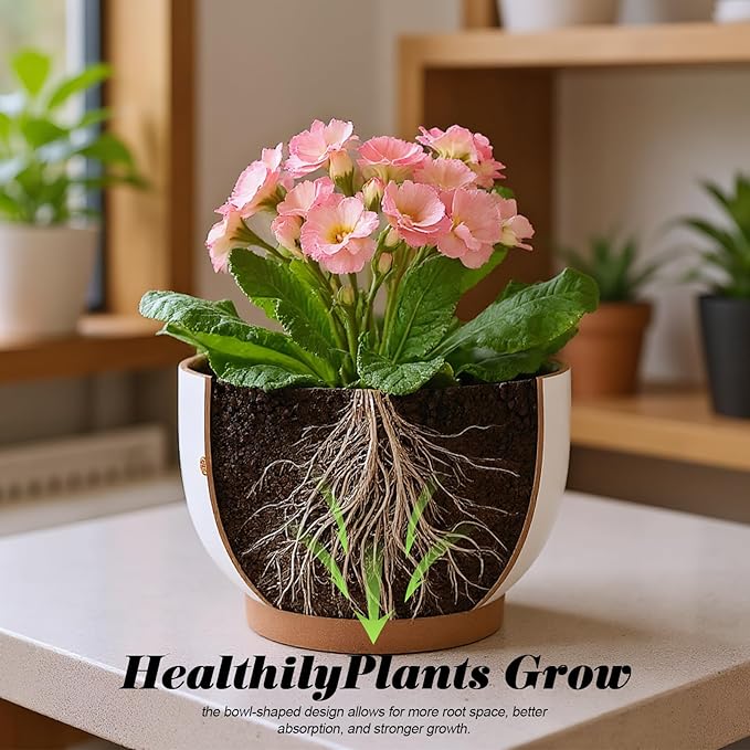 YBX 8 Inch & 6 Inch Terracotta Plant Pots, Flower Pots for Indoor Plants with Drainage, Planters with Floral Accent for Indoor Plants (French Country)
