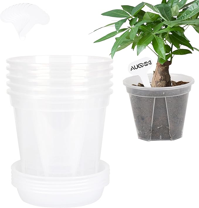 5 Set 7 Inch Transparent Plastic Garden Pots with Saucer - Planter with Drainage Hole for Indoor and Outdoor Plants - Includes 10 Plant Labels