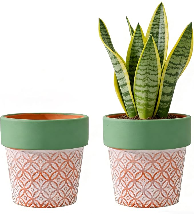 Terracotta Plant Pots Set of 2-5.9 Inch Vintage Pattern Clay Flowerpots with Green Rim & Drainage Holes, Decorative Terra Cotta Pots for Indoor Outdoor Garden Home Decor