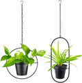 Metal Hanging Planters, Modern Plant Hanger with 5 inch Flower Pot, Set of 2 Black Plant Holder in Oval and Round Shape, Small Wall and Ceiling Planter for Indoor Plants, Home Décor