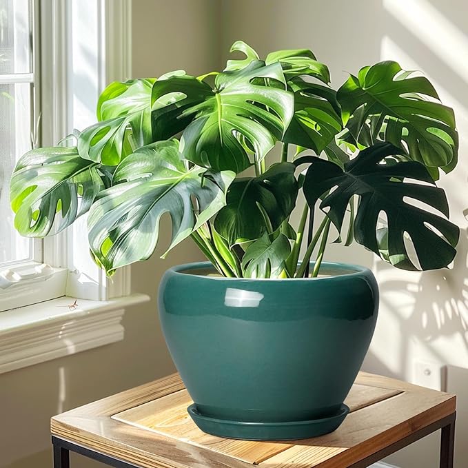 Ceramic Planter for Indoor Plants 10 Inch - Ceramic Plant Pot with Drainage Hole and Saucer, Glaze Round Modern Decorative Planter, Plant Lover Gifts, Home Room Office Decor, Green