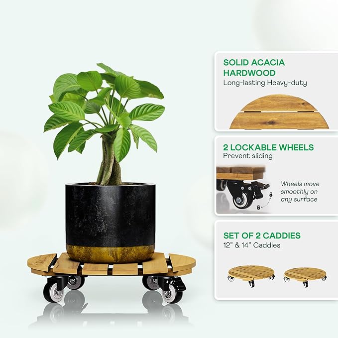 Idzo Combo 12 Inch and 14 Inch Acacia Wood Rolling Round Planter Caddies for Plant Pots, Heavy Duty Plant Stand with 360° Lockable Wheels, 264 lbs Capacity Caddy for Indoor and Outdoor Use, Golden Teak