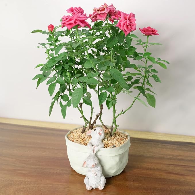 Rabbit Flower Pot Succulent Planter Garden Pots,Decorative Flower Pot,Bunny Pot Resin Containers,Animal Shaped Cartoon Planter Pots,Art Decorations(No Drainage Hole)