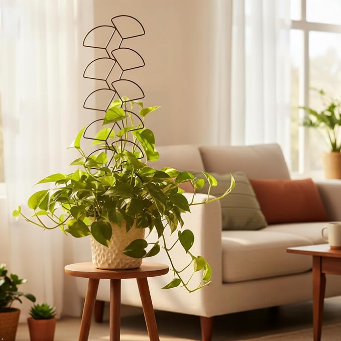 Plant Trellis for Climbing Plants Indoor Outdoor, Trlzey 3 Pack Stackable Metal Trellis - Small Garden Trellis for Potted Plants, Vine Support for Ivy, Flowers, DIY Home Deco