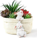 Rabbit Flower Pot Succulent Planter Garden Pots, Easter Decorative Flower Pot,Animal Shaped Cartoon Planter Pots,Art Decorations（with Drainage Hole）