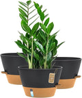 12-Inch Self Watering Planters with Drainage Holes, Large Flower Pots for Indoor Outdoor Plants, Garden Pots Grey 3 Pack