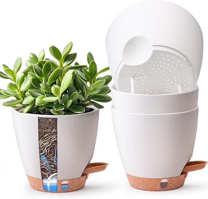 T4U 4 Pack 6 Inch Self Watering Pots - Water Level Indicator & Deep Reservoir, Mess-Free Planter for Busy People, Beginners & Gardeners, Fit Herbs/Pothos/Succulents Plants, Indoor Outdoor Use (White)