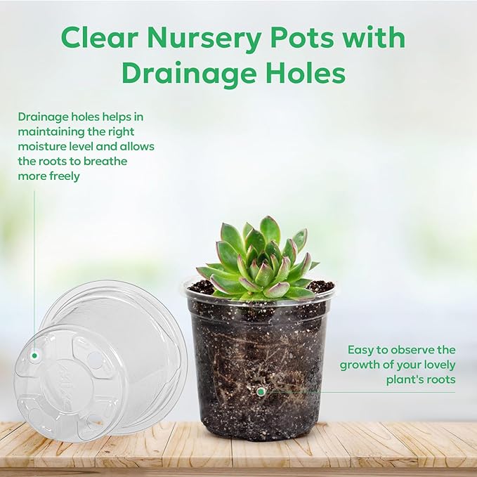 60 Packs 3.5 Inch Reinforced Clear Nursery Pots with Drainage Holes, Transparent Plastic Plant Pot Seedling Planter for Vegetable Propagation, Root Cutting, Seed Starting