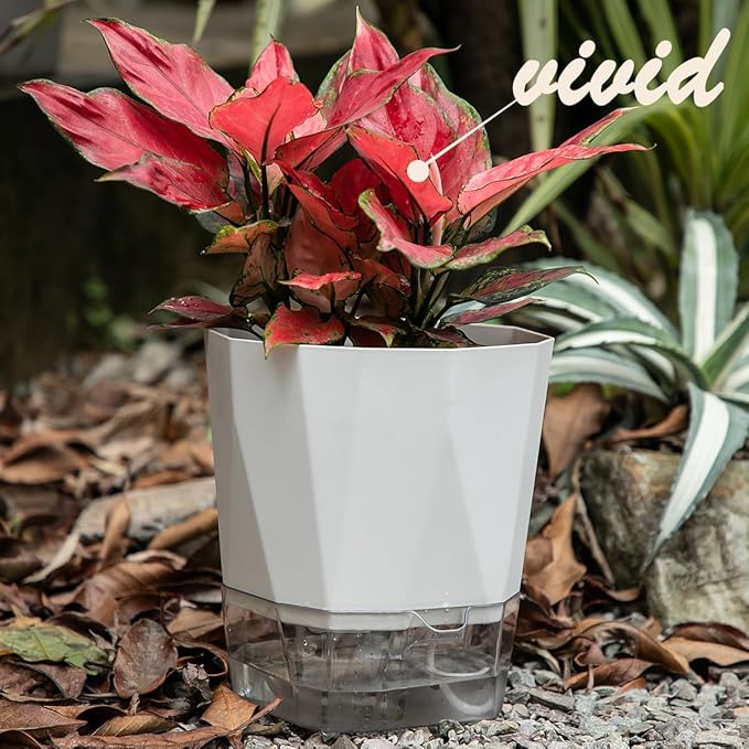 5 Pack Self Watering Plant Pots 5/6.7/8.4 In Self Watering Planters for indoor and Outdoor plants African Violet Self Watering Pots Clear Pots for Plants Herb Orchid Flower Houseplant Pots, Light Grey