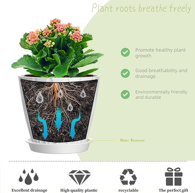 6 Inch Plant Pots, 6 Pack Indoor Flower Pots, Planters with Drainage Holes and Trays for Orchids, Violets, Succulents, Herbs, and Other Plants,White