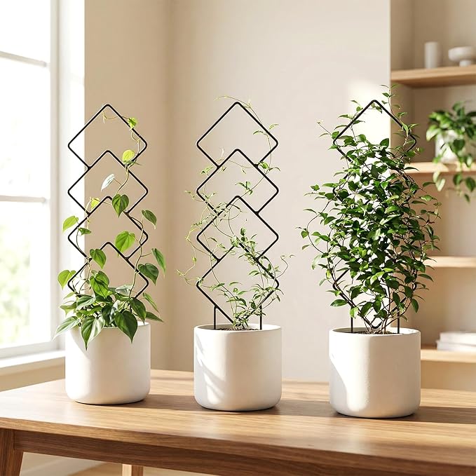 Indoor Trellis for Climbing Plants: 3PC Small Garden Metal Trellis for Vine Ivy Hoya Houseplants Flower Potted Plant Outdoor
