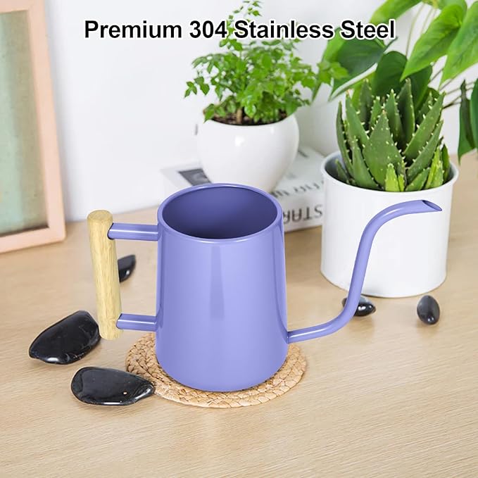 Watering Can Indoor Plants, 35 oz/1000 ml Metal Stainless Steel Watering Can Pot with Long Spout for Indoor House Plants Bonsai Outdoor Garden Flower Decorative (Purple)