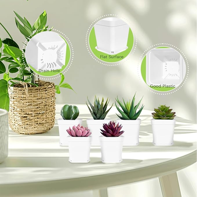 Anyumocz 24Pcs 3" Square Plastic Plant Pots,White Nursery Pots with Saucers,Seedling Nursery Transplanting Planter Container for Plants,Garden,Flower,Home,Office,Balcony Decor,Indoor,Outdoor