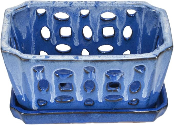 W&W Orchid Pot with Holes and Saucer for Repotting, White and Blue, 9.7 Inch
