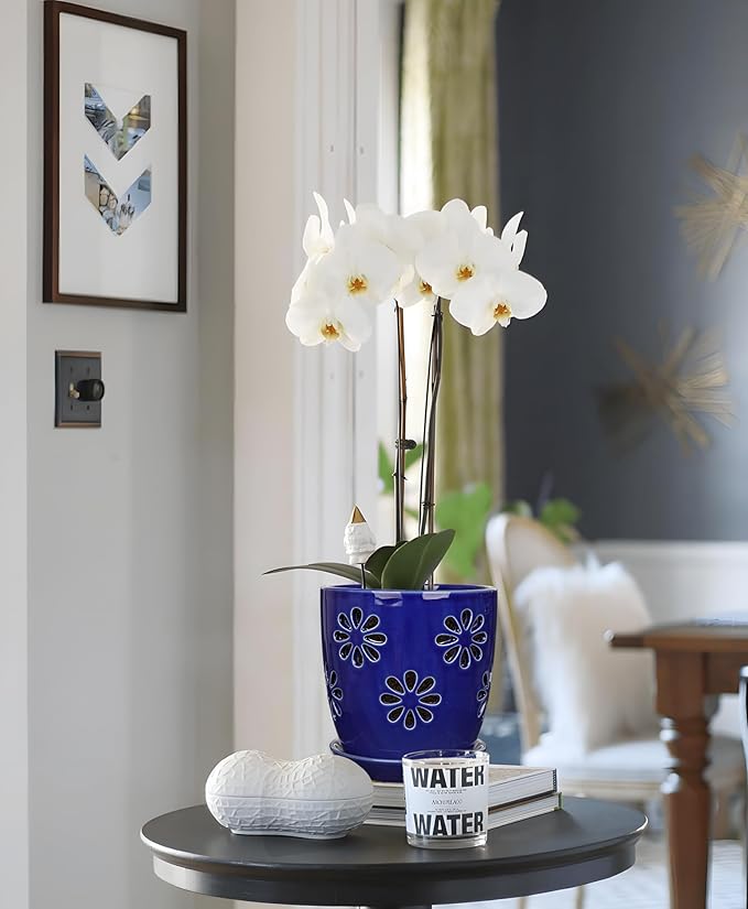 Oairse 6 inch Orchid Pots with Holes, Royal Blue Ceramic Orchid Pot for Repotting Small Indoor Plant Pots with Drainage Holes and Saucers Decorative Flower Planter for Orchids, Indoor Plant
