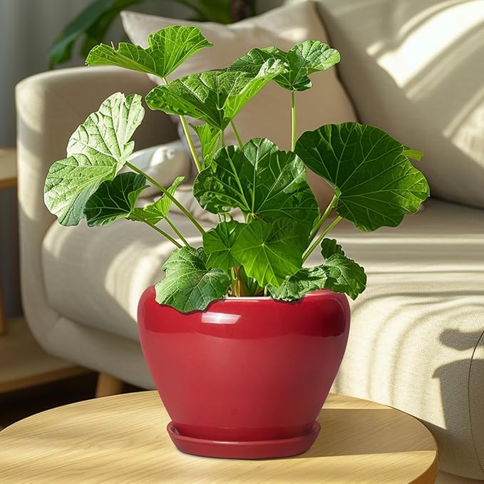 Ceramic Planter for Indoor Plants 8 Inch - Ceramic Plant Pot with Drainage Hole and Saucer, Glaze Round Decorative Modern Flower Pot, Housewarming Gift, Home Room Office Decor, Red