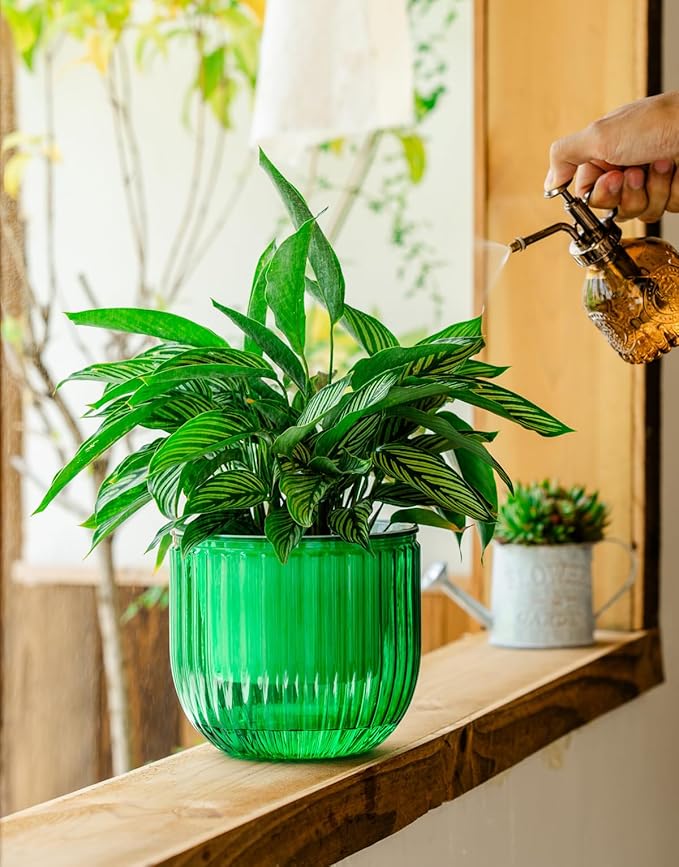 Melphoe Self Watering Pots for Indoor Plants Planter, 6.5 Inch 2 Pack Planters Self Watering Plant Pots for Flower, Houseplants, Succulent, African Violets and Cactus with Drainage