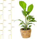 succulentlovers 4PCS Indoor Plant Support Stakes, 12.6 Inch Metal Monstera Plant Supports, Indoor Plant Trellis Plant Stem Holder Support for Indoors & Outdoor Garden Plants Stabilization and Supports