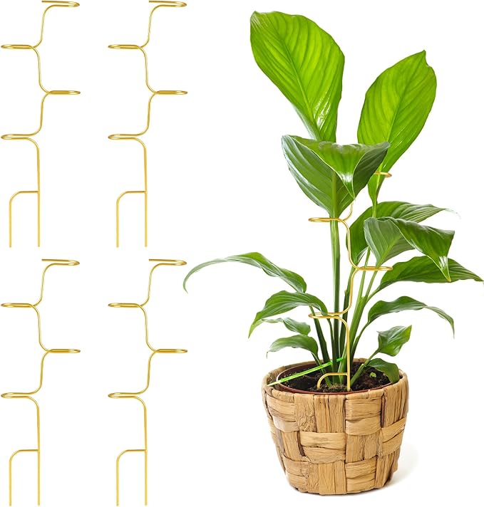 succulentlovers 4PCS Indoor Plant Support Stakes, 12.6 Inch Metal Monstera Plant Supports, Indoor Plant Trellis Plant Stem Holder Support for Indoors & Outdoor Garden Plants Stabilization and Supports
