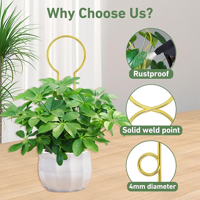 14.17in Plant Trellis Indoor, 4.2mm Dia Gold Small Trellis for Potted Plants, Metal Trellis for Climbing Plants Indoor Support for houseplant Hoya Photos Succulents Hostas, Plant Decor
