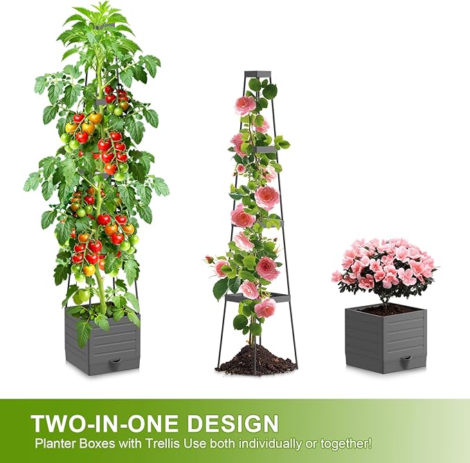 2 Pack Raised Garden Bed Tomato Planter with Trellis, 57" Tomato Cage Plant Support Planters, Self-Watering Planter for Tomatoes Climbing Plants Vegetable Vine Flowers Outdoor & Indoor