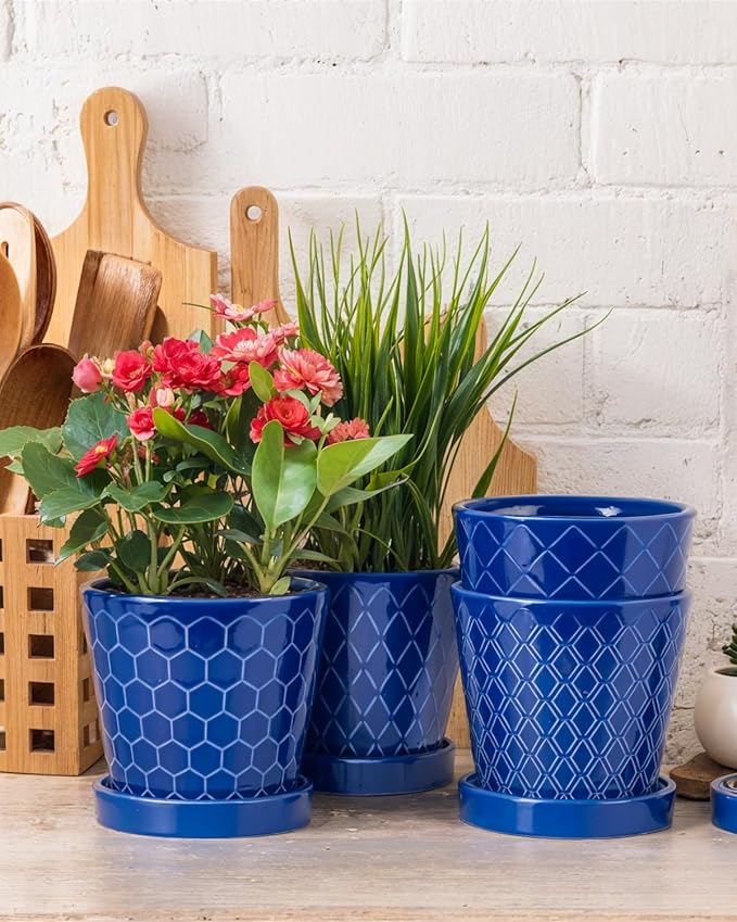 BUYMAX Ceramic Plant Pots –5 inch Indoor Flower Pot with Drainage Hole and Ceramic Tray - Gardening Home Desktop Office Windowsill Decoration Gift, Set of 4-Plants NOT Included(Blue)
