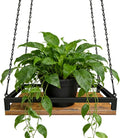 Plant Hanger Indoor, 11.8" Wooden Hanging Plant Holder with Metal Frame Hanging Planter for Indoor Plants Load 50LB Hanging Plant Shelf with 27.6" Long Chain, Ideal for Heavier Pots Window Ceiling