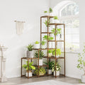 Bamworld 55“ Tall Plant Stand Indoor Outdoor Corner Plant Shelves Wood Plant Holder for Living Room Flower Stand Plant Rack for Multiple Plants Living Room Patio Balcony Garden
