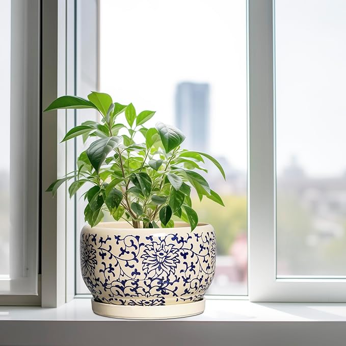 SQOWL 10 Inch Plant Pot Indoor - Ceramic Planter with Drainage Hole and Tray, Large Ceramic Flower Pots Outdoor, Porcelain Decorative Round Planter, Room Decor, Gifts for Plant Lovers, Blue and Beige
