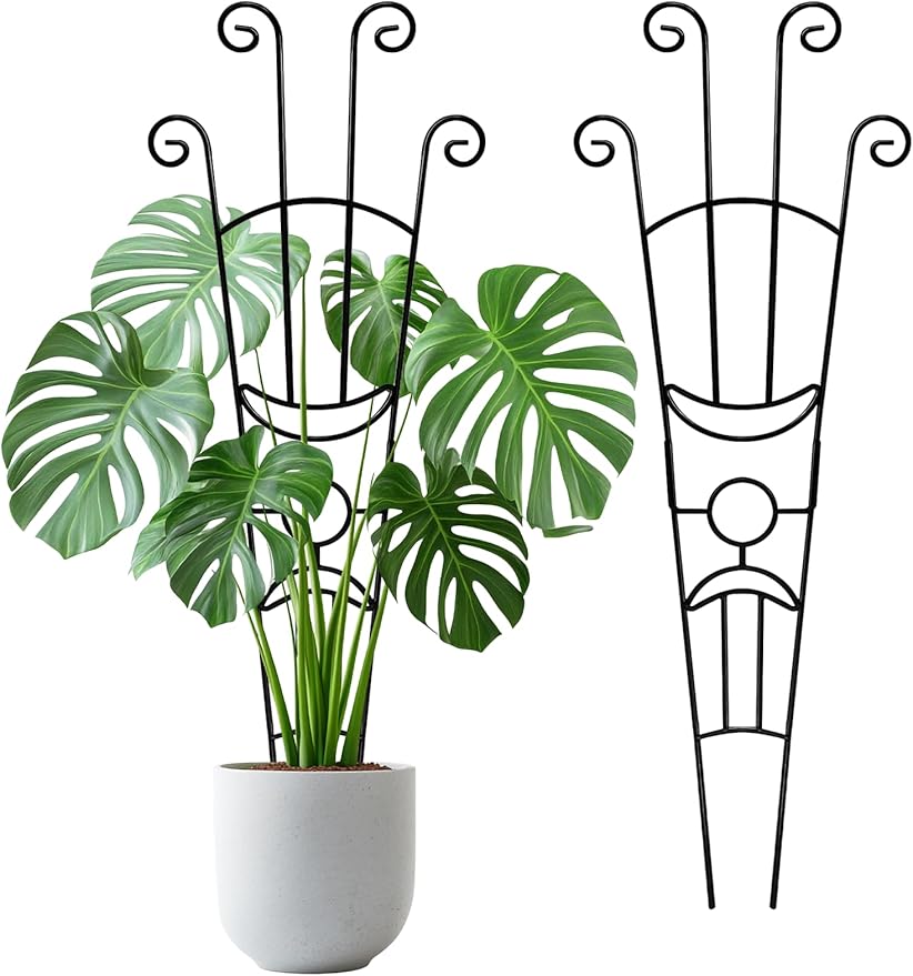 33 Inch Tall Expandable Metal Trellis for Potted Plants, Rustproof Expandable Indoor Outdoor Plant Support Trellis for Climbing Plants, Monstera, Ivy, Hoya with Sturdy Weighted Base (Black)