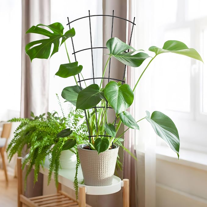 4 Pack 32'' Indoor Plant Trellis for Potted Plants Climbing Outdoor Metal Garden Trellis Houseplants Flowers Vine Ivy,Fan Shape, Black