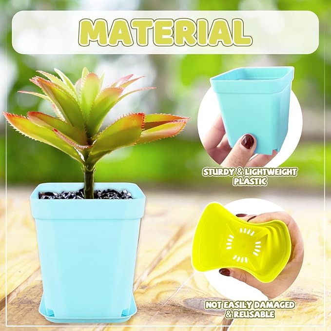 OJYUDD 24 Pack Multi Color Plastic Plant Pot,Colorful Plastic Square Pots,Mini Plastic Square Planters for Indoor Outdoor Plants Flowers,Garden,Office,Home Decor,with Pallet