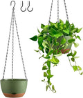 Hanging Planters for Indoor Plants, Set of 2 8/10 Inch Self-Watering Hanging Pots with Drainage Hole & Removable Water-Storage Tray II Screw-in Hooks