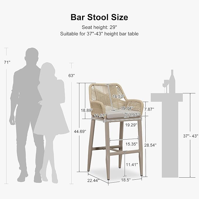 PURPLE LEAF Outdoor 29" Bar Stools Set of 2, Boho Patio Bar Height Chair with Cushion and Back for Outdoor and Indoor, Garden, Patio, Champagne