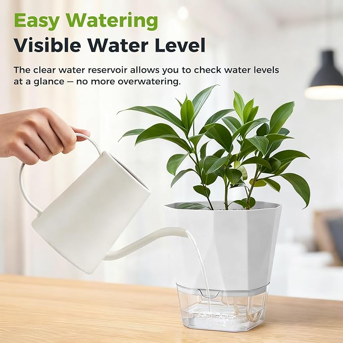 6 Pack Self Watering Plant Pots 5 Inches Self Watering Planters for Indoor and Outdoor Plants African Violet Self Watering Pots Clear Pots for Plants Herb Orchid Flower Houseplant Pots, Light Grey