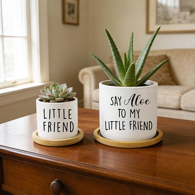 Say Aloe to My Little Friend Planter Pot, Funny Plant Pots, Aloe Plant Pot Succulent Pots with Tray Set of 2 Flower Pots Indoor Pot - Without Plants, Office Home Windowsill Gifts (No Plant)