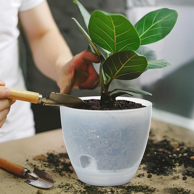 Self Watering Pots Set, 5 Pack 6 Inch Self Watering Pots for Indoor Outdoor Plants, Plastic Planter with Drainage Holes and Deep Reservoir for African Violet, Spider, Orchid
