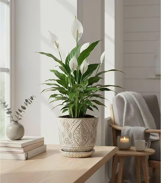 Gepege 6 Inch Ceramic Planter, White Plant Pot with Drainage Holes and Saucers for Indoor Plants, Birthday for Women Mom