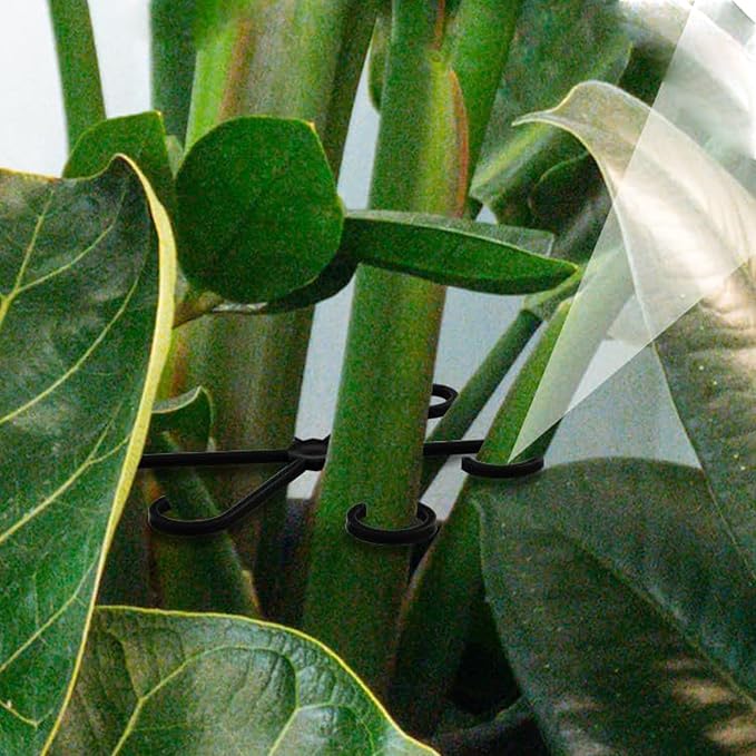 4Pcs Plastic Plant Climbers Stem Holders, Black Climbing Houseplant Stem Supports, 2 Sizes Reusable Flower Plant Stakes Trellis Hook for Indoor Plants Growth Accessories