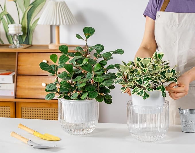 Melphoe Self Watering Pots for Indoor Plants Planter, 6.5 Inch 2 Pack Planters Self Watering Plant Pots for Flower, Houseplants, Succulent, African Violets and Cactus with Drainage
